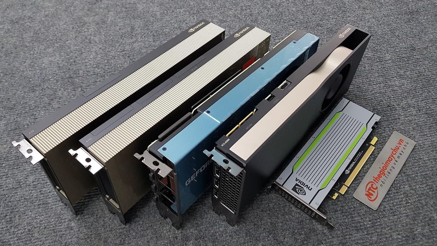 Card đồ họa Nvidia Tesla T4 16GB GDDR6 PCIe 3.0 Passive Cooling - Hàng chính hãng