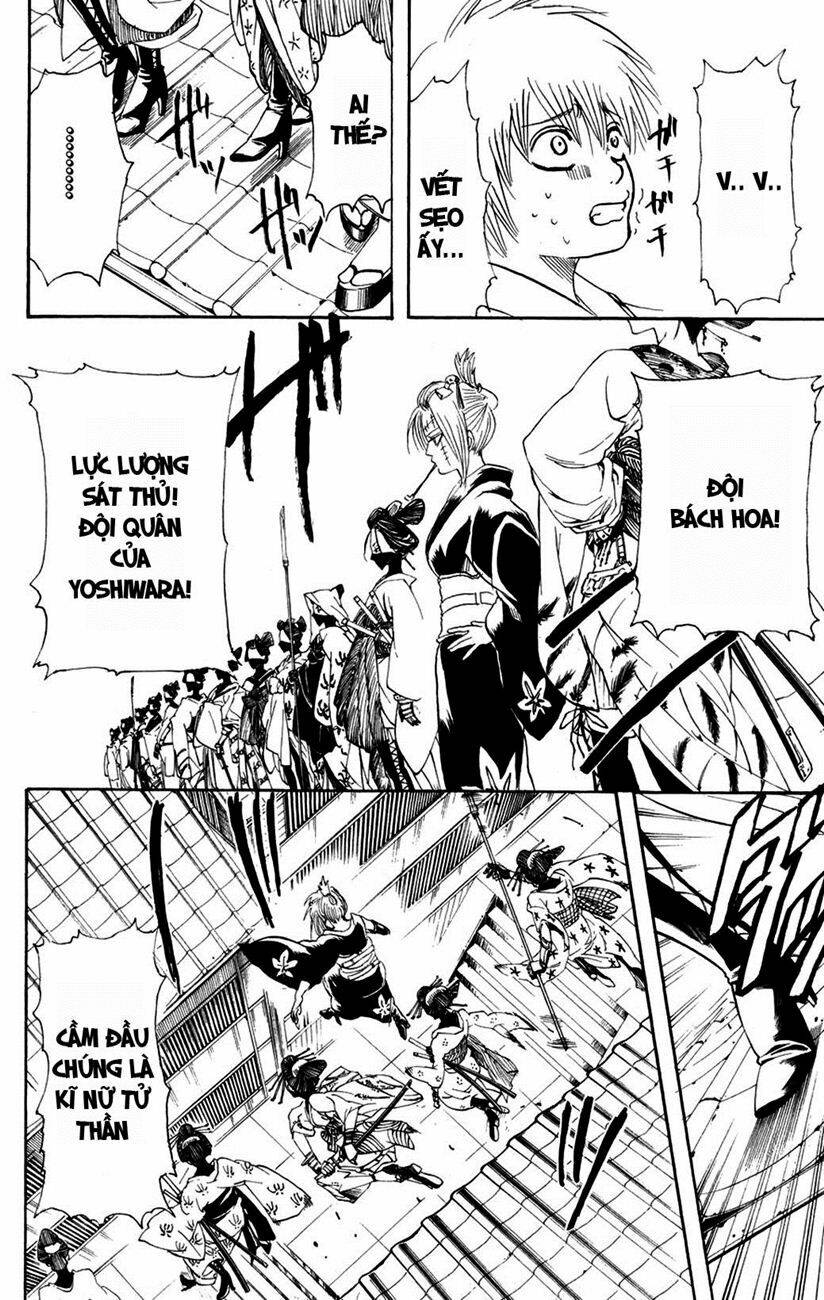 gintama - linh hồn bạc chapter 211 14