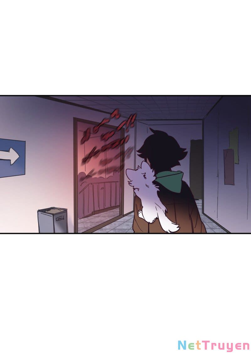 lumine - cội nguồn ánh sáng chapter 73 51