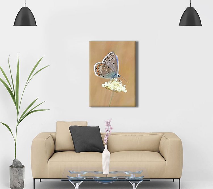 Tranh Canvas "Bướm Và Hoa" W141