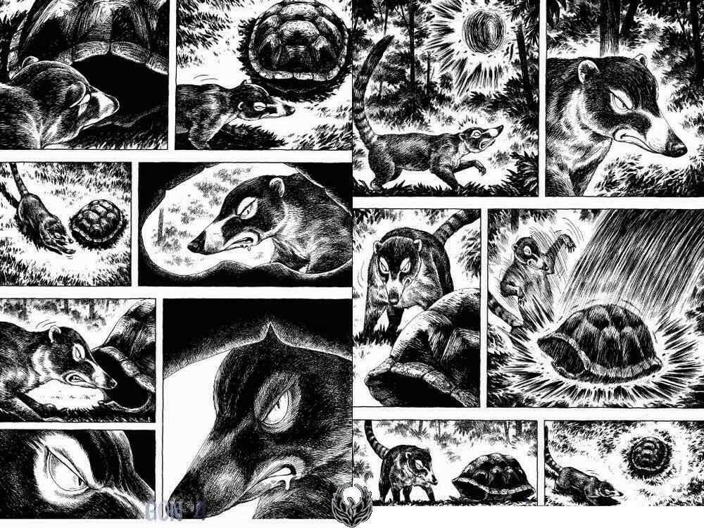 gon - khủng long siêu quậy chapter 13 10