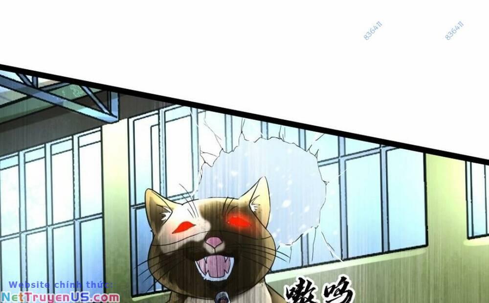 đóng băng toàn cầu: tôi gây dựng nên phòng an toàn thời tận thế chapter 147 21