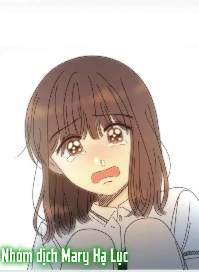 thanh xuân rực rỡ - season of blossom chapter 58 51