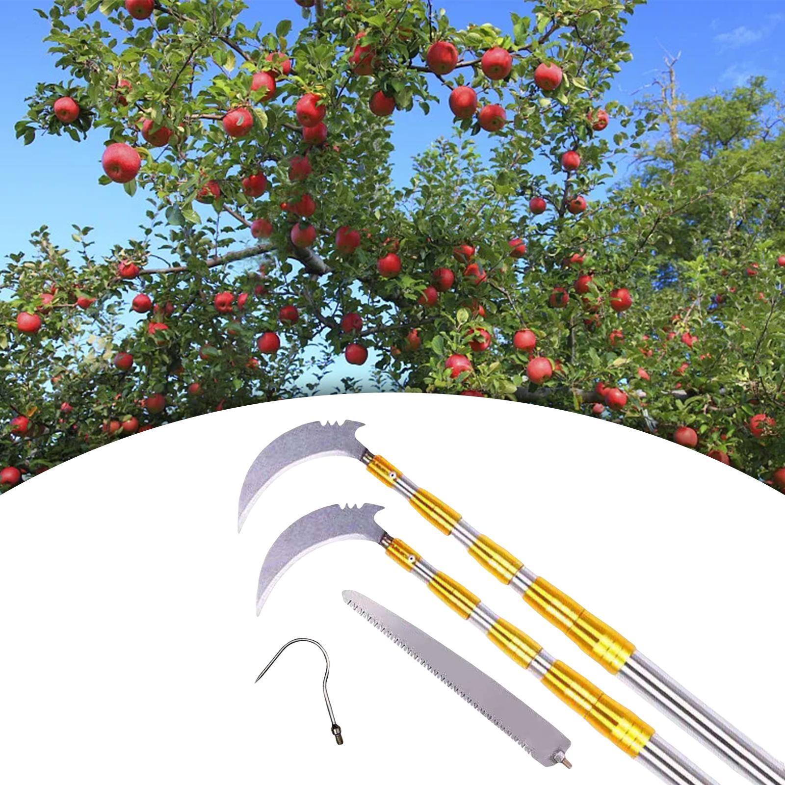 Fruit Picker Orchard Tool Garden Equipment Extendable Accs Fruit Picker Tool