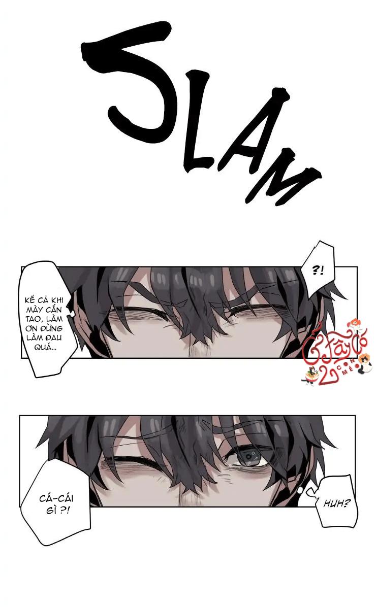 ánh nhìn của quạ chapter 2 32