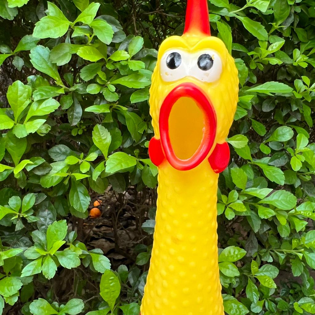 Đồ chơi chíp kêu vui nhộn ngộ nghĩnh đáng yêu