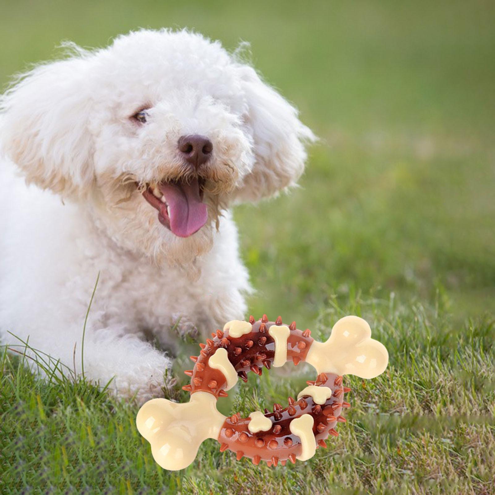 Dog Chew Toy Durable Silicone Portable Tough Chewer for Boredom Relaxing
