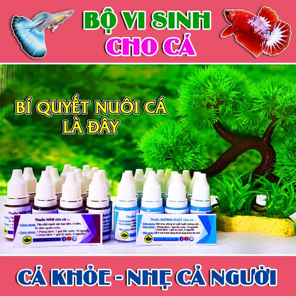 Vi Sinh - Đường Ruột + Nấm cho hồ cá nhỏ