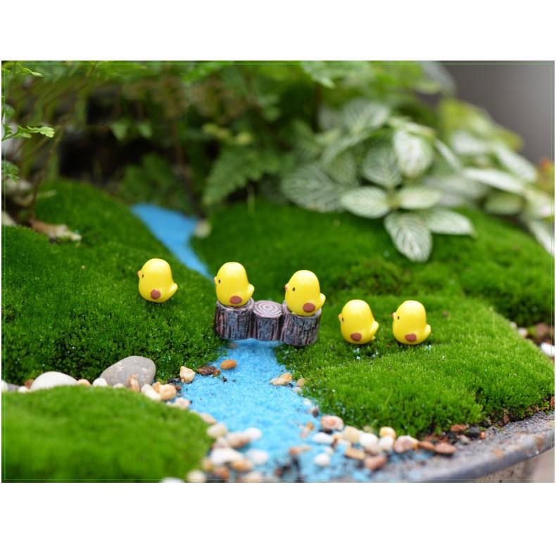 Tiểu cảnh mini ️ Gà vàng nhỏ H070 chơi trong vườn trang trí sen đá, sân vườn, bể cá, tiểu cảnh