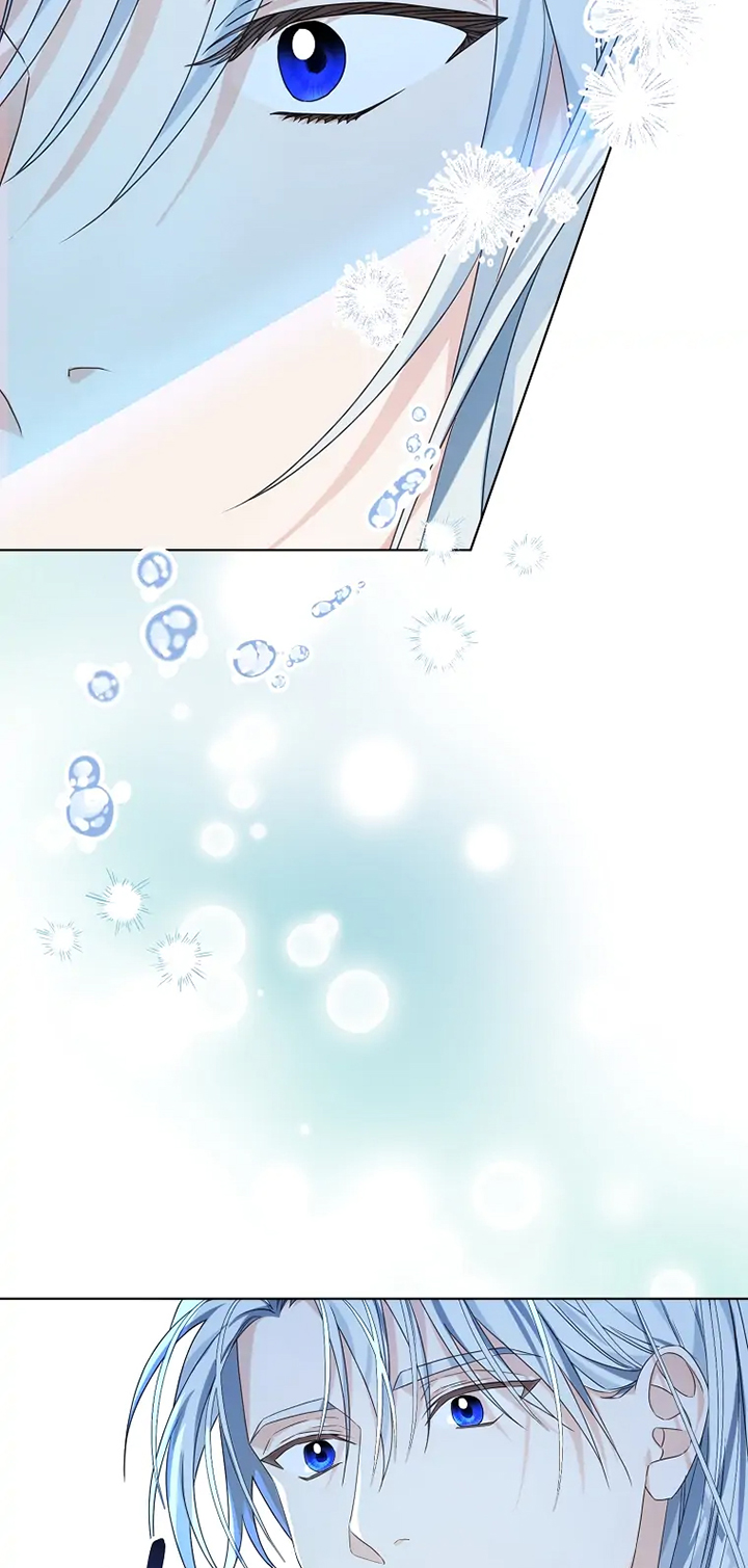 aster yêu dấu của tôi chapter 4 5