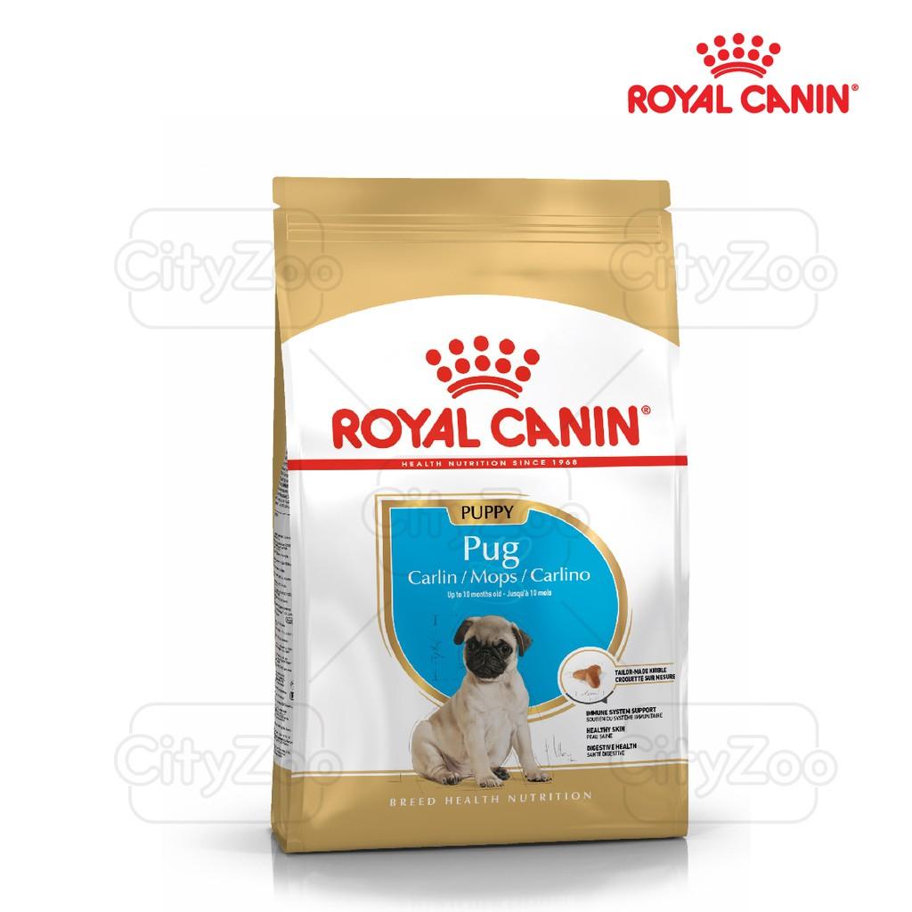 Thức ăn cho chó con Royal Canin Pug Puppy 1,5kg - Thức ăn cho chó Pug nhỏ, chó con