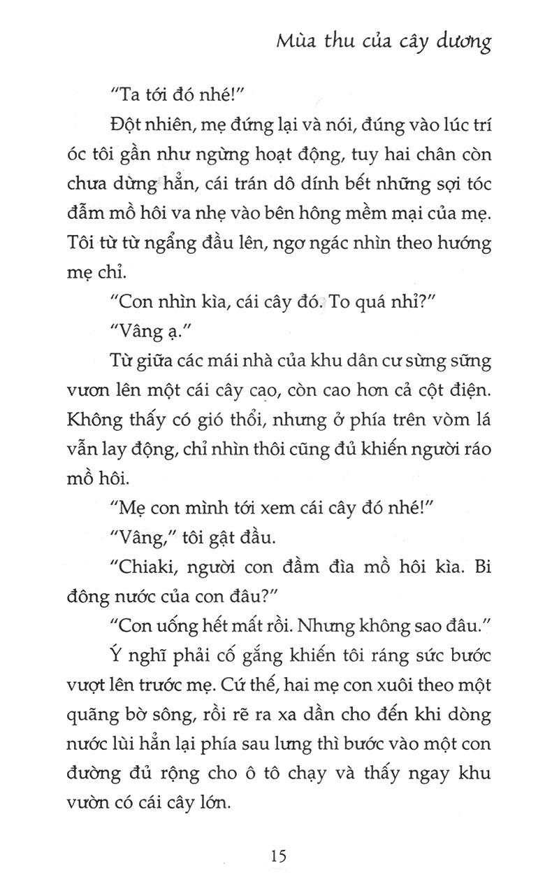 Mùa Thu Của Cây Dương
