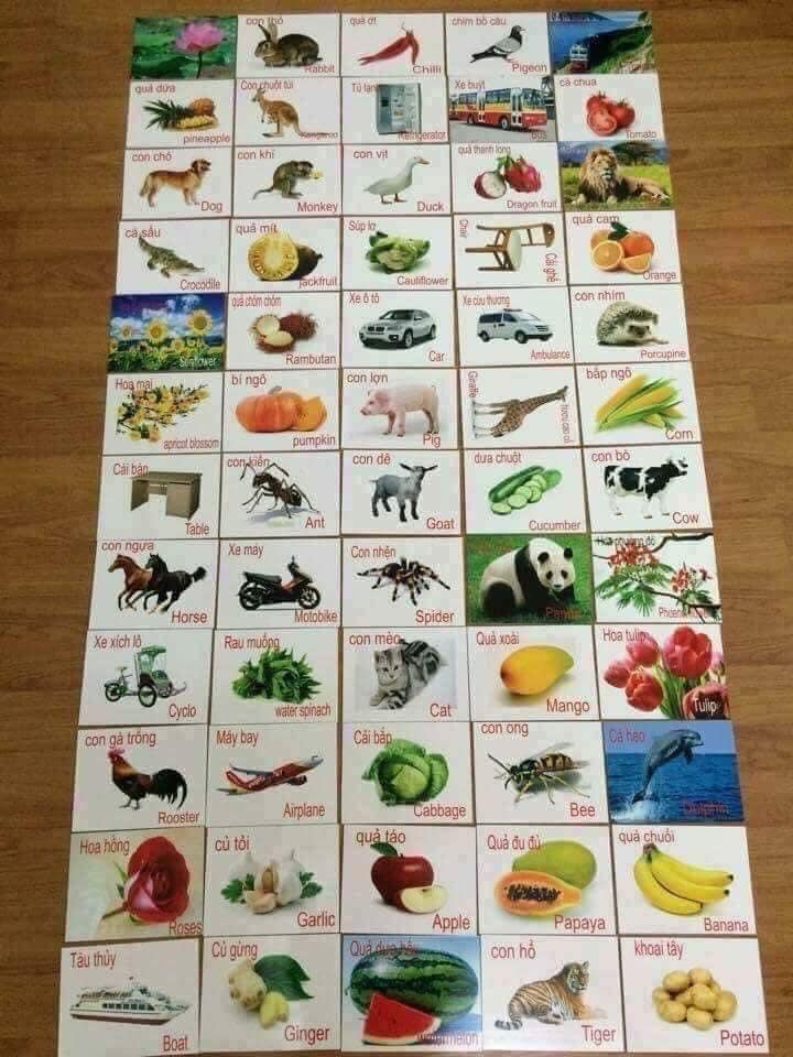 Thẻ Học Thông Minh Cho Bé, Bộ Thẻ Học 16 Chủ Đề 416 Thẻ, Flashcards Song Ngữ Anh Việt