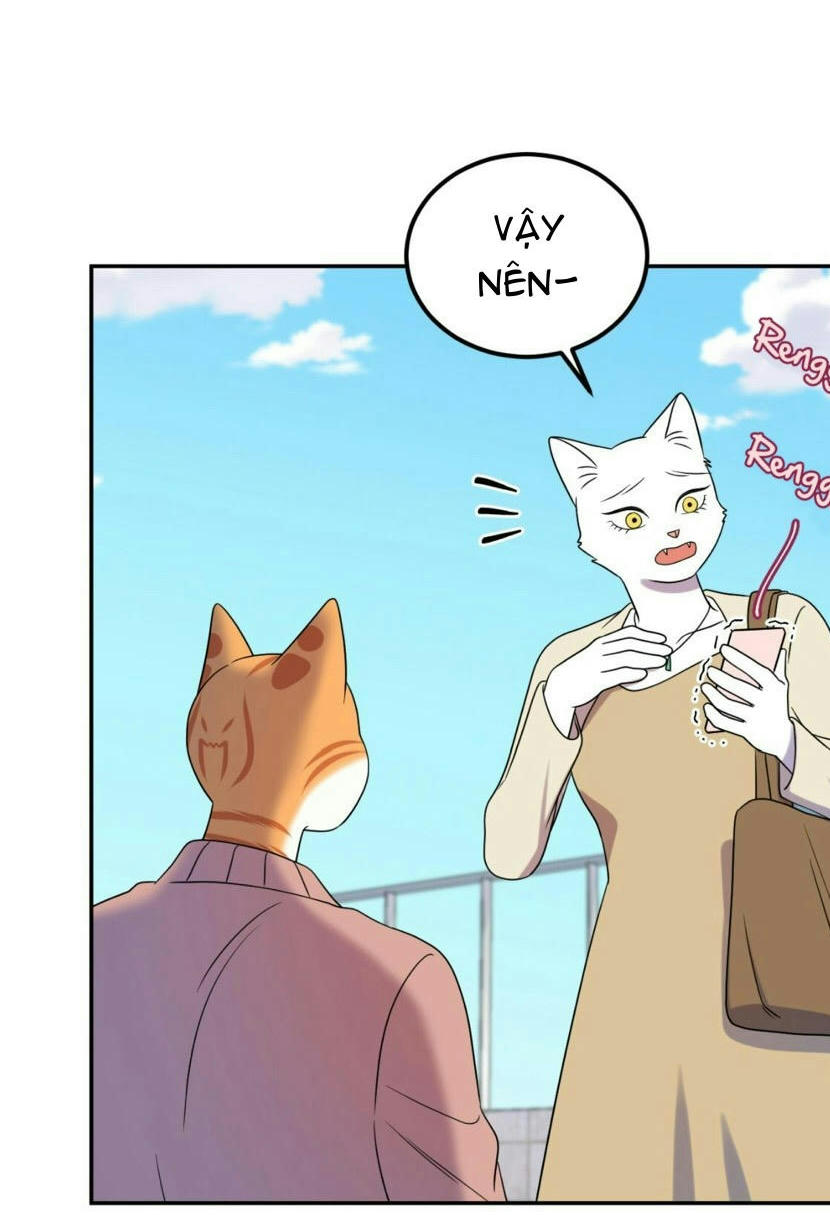 dự án xanh chapter 20 72