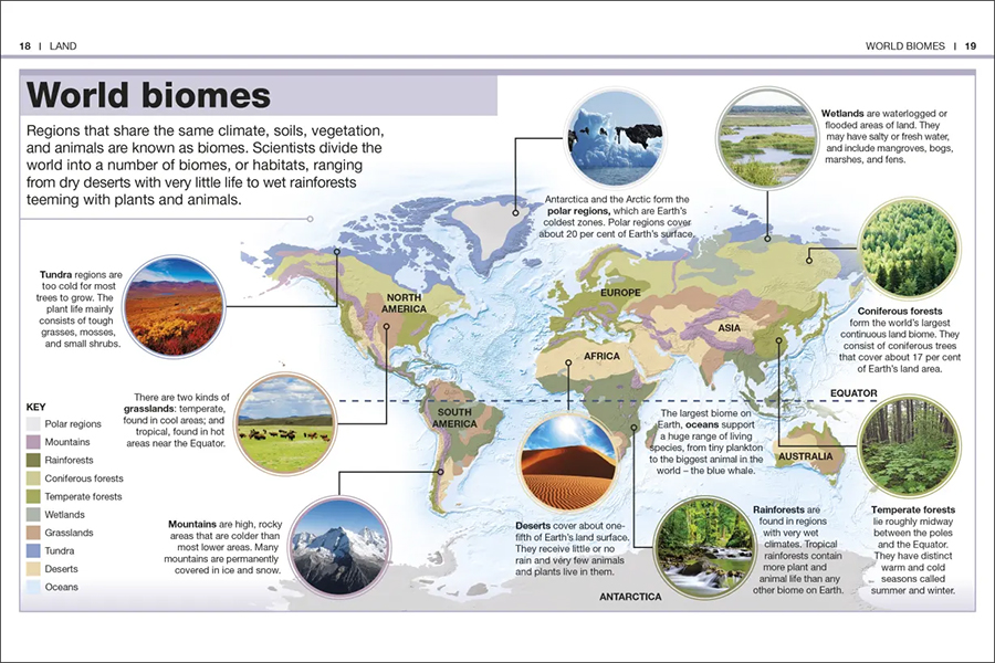 Pocket Eyewitness Earth