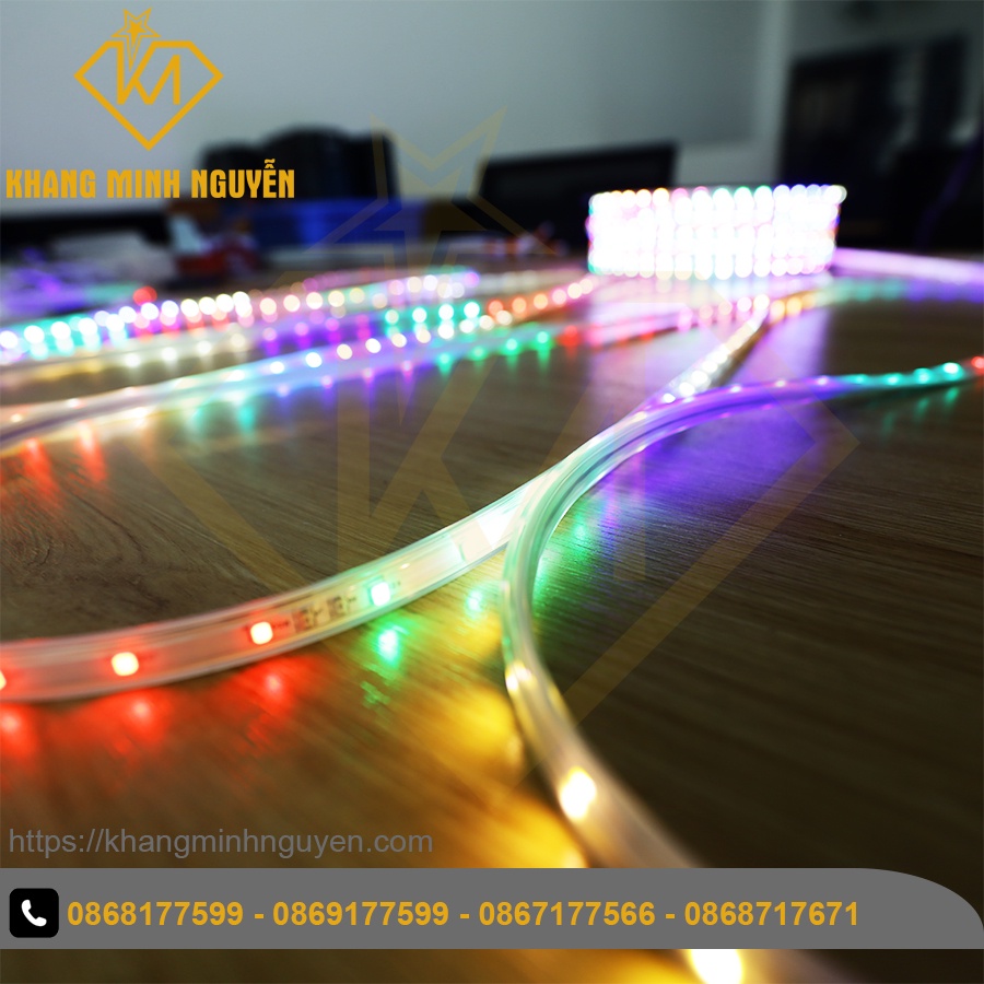 Led dây 220V chớp đuổi nhiều màu, chỉnh được chế độ chớp - bọc chống nước - trang Lễ Tết, quấn thân cây