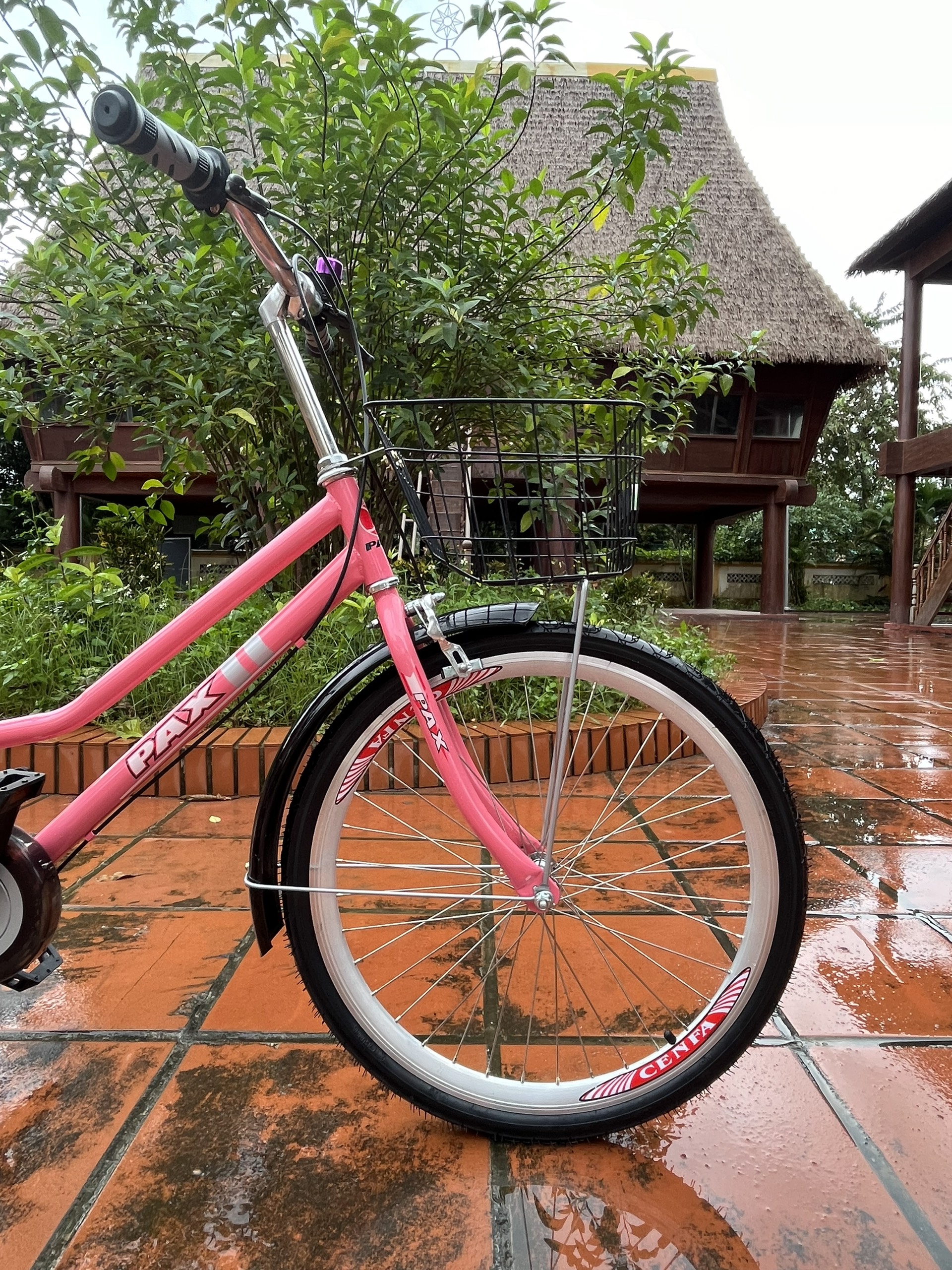 Xe đạp đôi Pax3 - Xe đạp thể thao đôi