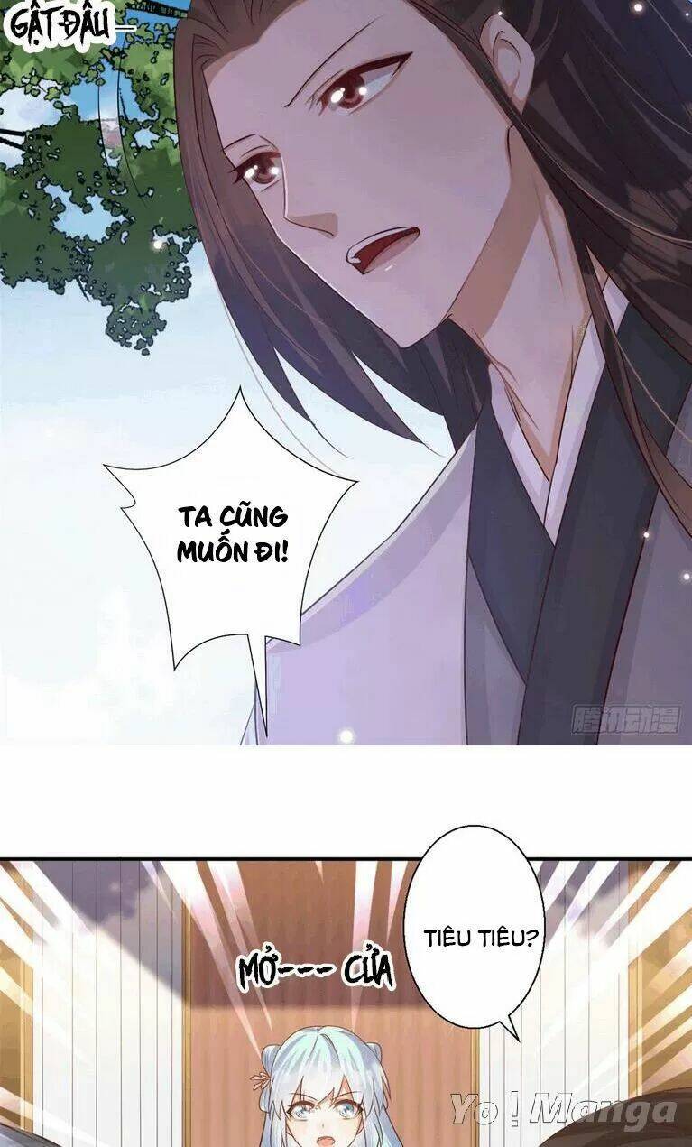 độc y cuồng phi chapter 66 5