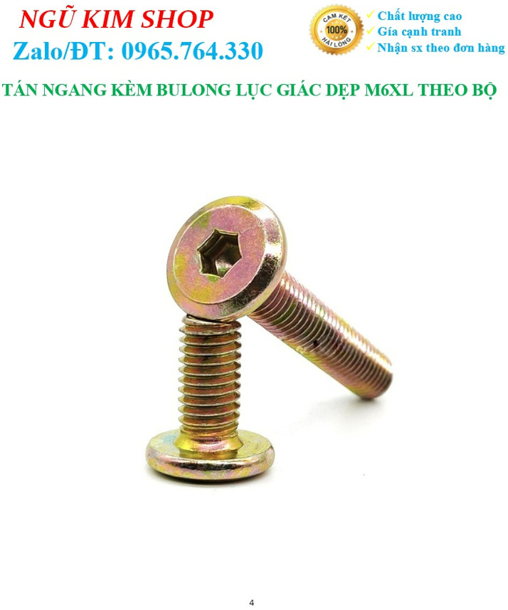TÁN NGANG KÈM BULONG LỤC GIÁC DẸP M6 x L THEO BỘ