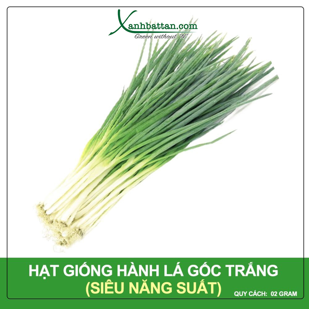 Hạt Giống Hành Lá Gốc Trắng Phú Nông Gói 2 Gram
