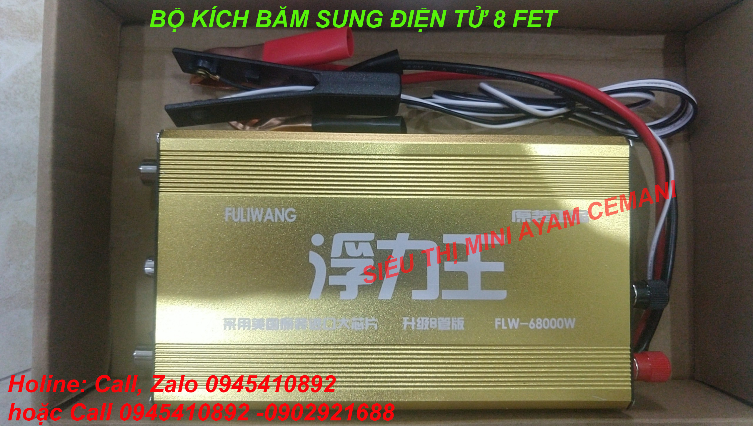 Bộ kích băm xung điện tử FLV68000W