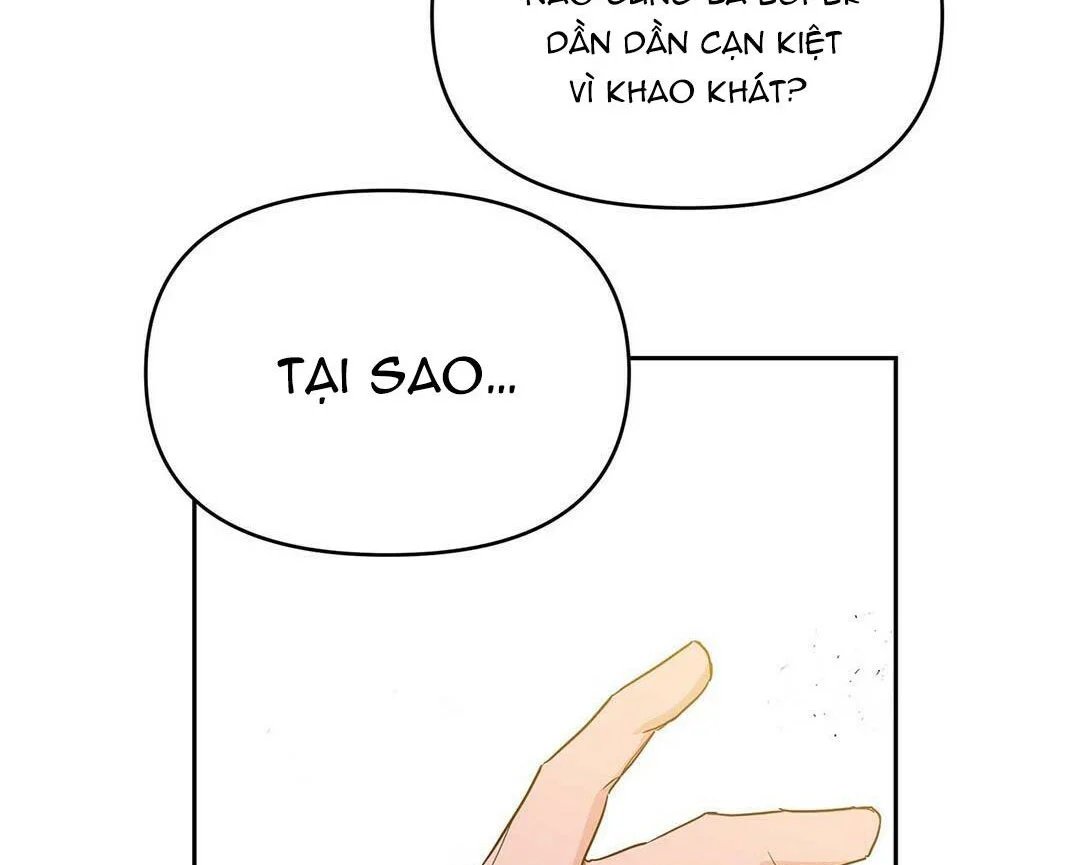 guide cấp b chapter 14 100