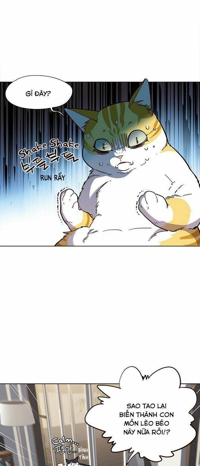 biến thân thành mèo chapter 15 47