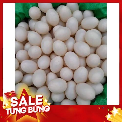 COMBO 30 QUẢ TRỨNG GIẢ CHO CHIM BỒ CÂU