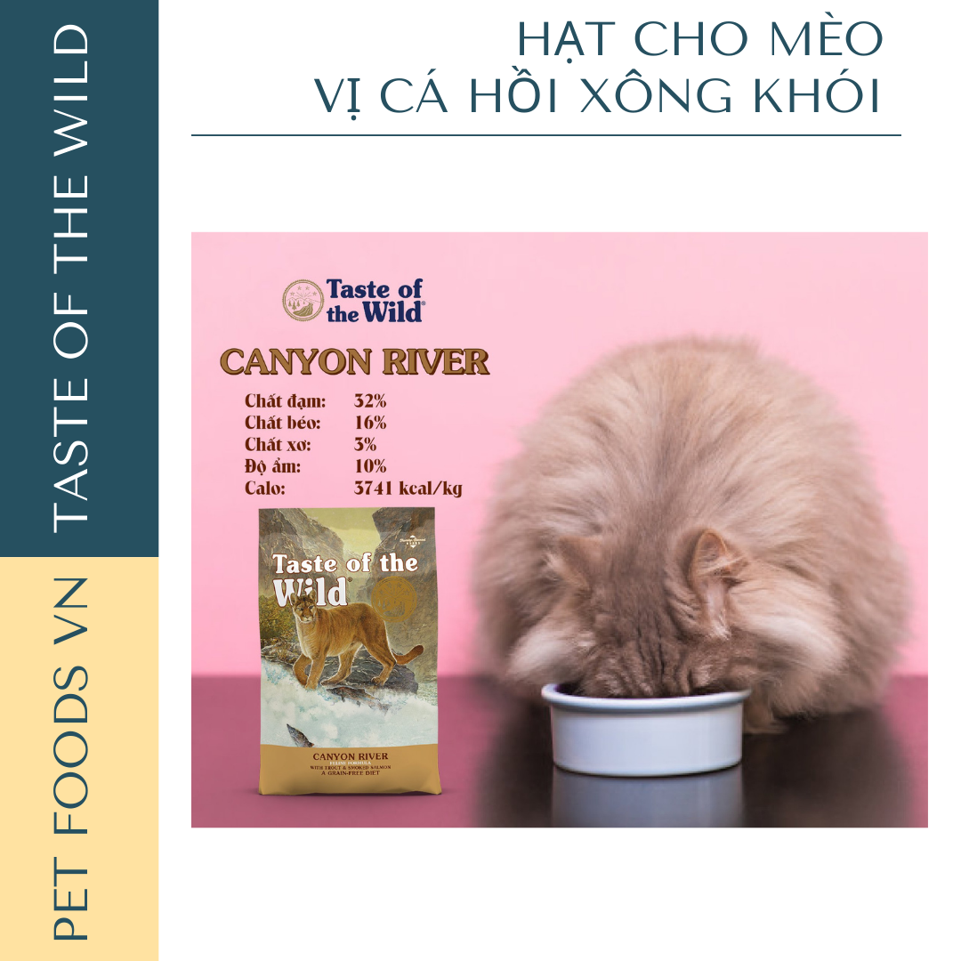 Hạt cho mèo TASTE OF THE WILD Canyon River vị Cá Hồi Vân &amp; Cá Hồi Xông Khói