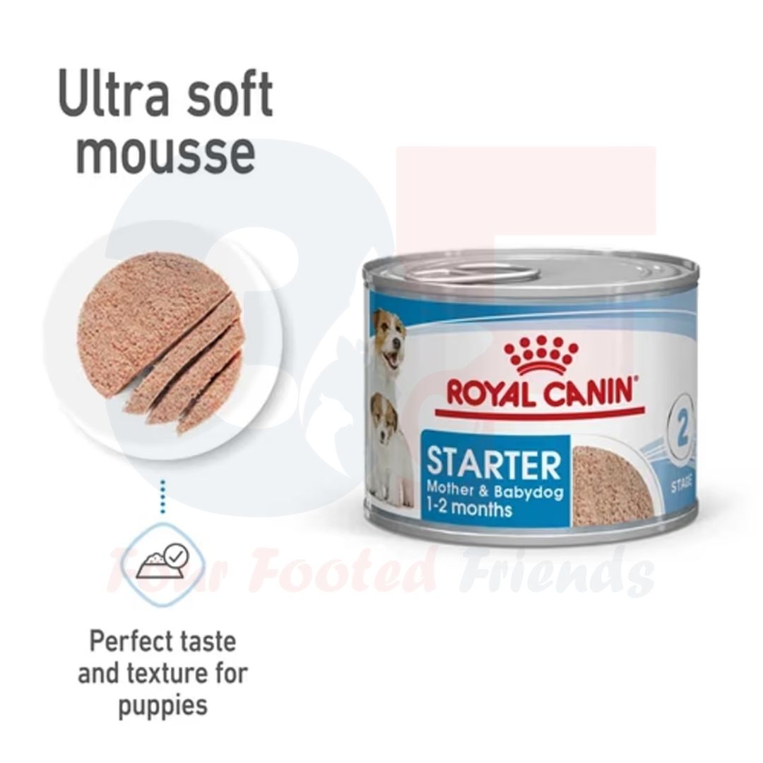 Pate Thức Ăn Ướt Dành Cho Chó Mẹ Mang Thai Và Cho Con Bú, Chó Con Dưới 2 Tháng Tuổi Royal Canin Starter Mouse Mother &amp; Babydog  Dạng Loaf - Lon 195Gr