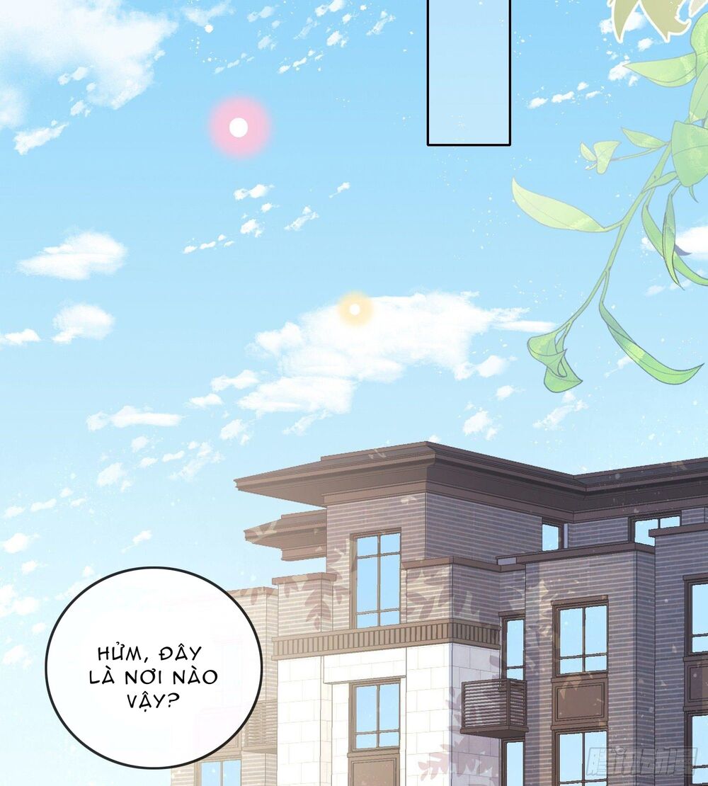 ảnh hậu cũng không bằng niệm thanh hoa chapter 110 28