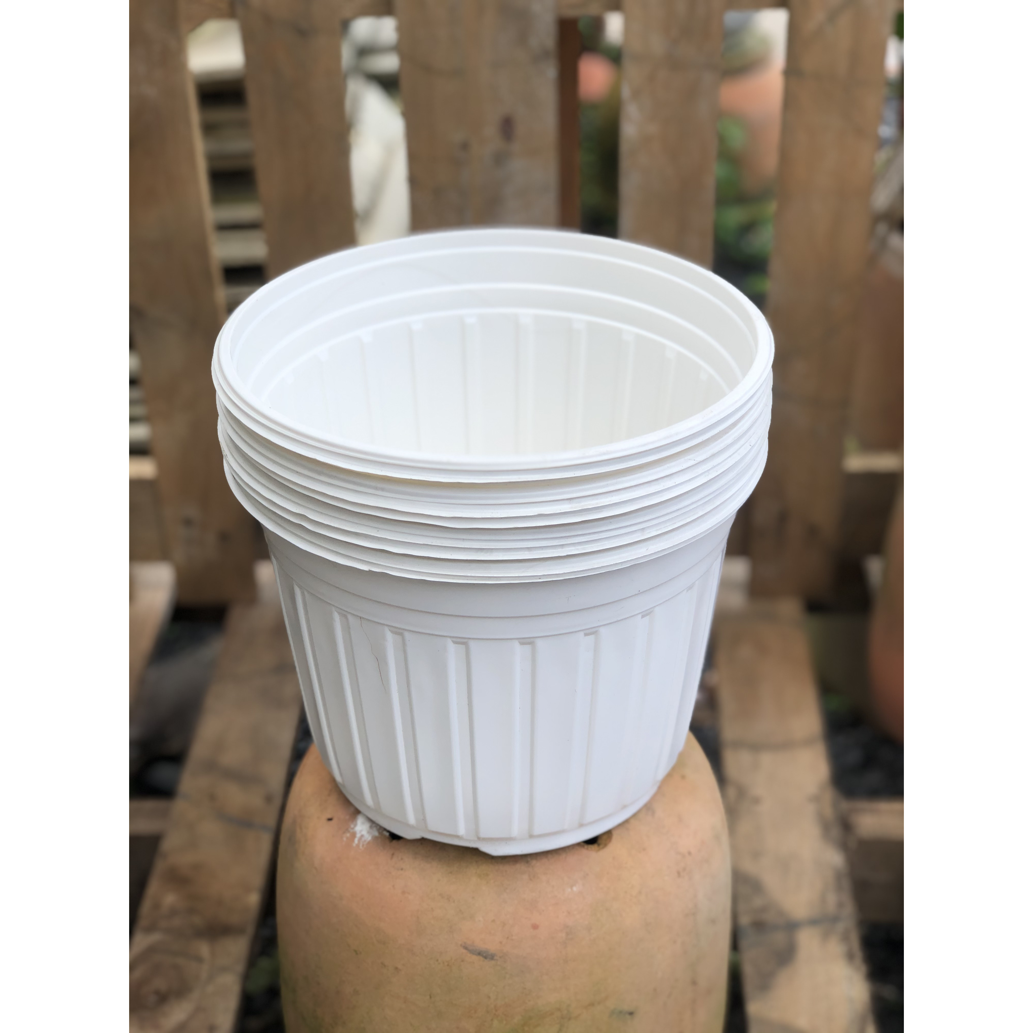 Bộ 10 chậu trồng cây màu trắng kích thước fi 280 x 205 mm
