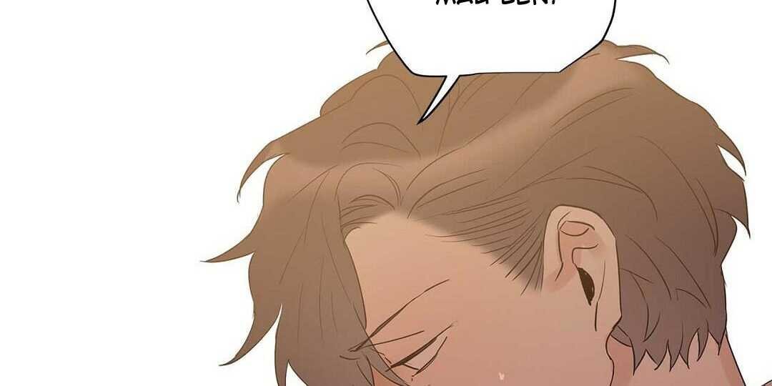 guide cấp b chapter 41 126