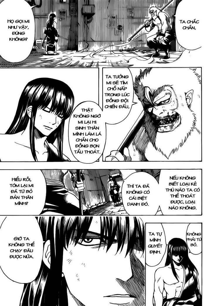 gintama - linh hồn bạc chapter 563 6