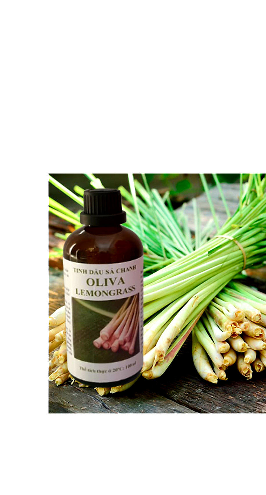 Tinh dầu sả chanh OLIVA-Oliva Lemongrass 100ml