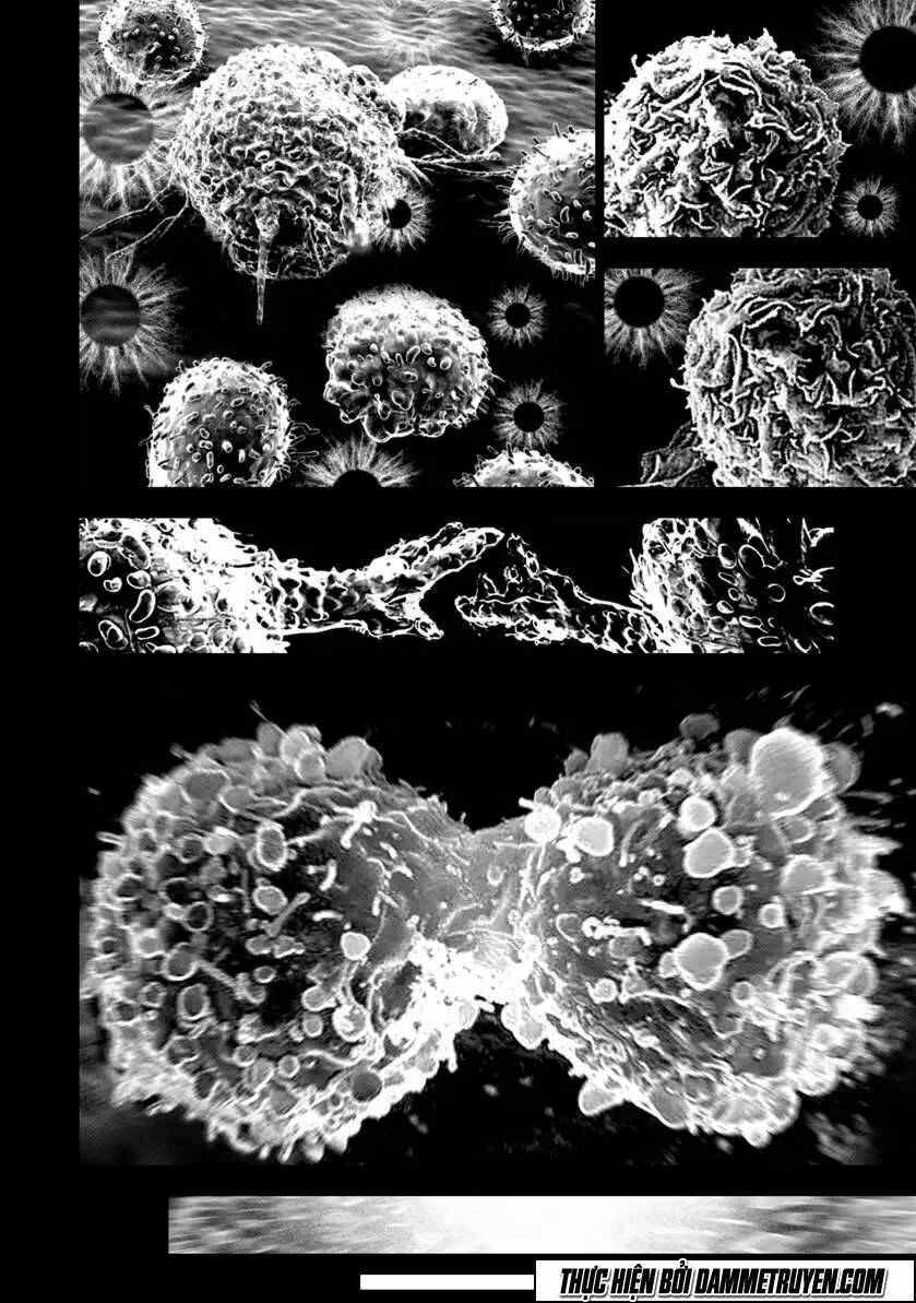 unity of heaven chapter 63 11