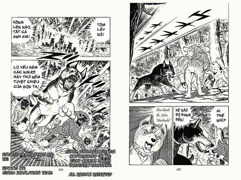 chú chó có nghĩa - ginga nagareboshi gin chapter 23 25
