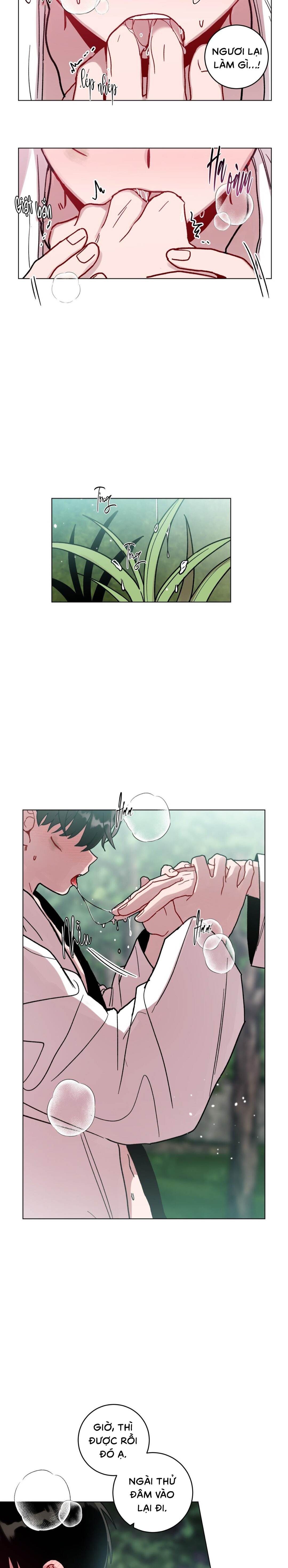 cơn mưa rào mùa hạ chapter 89 5