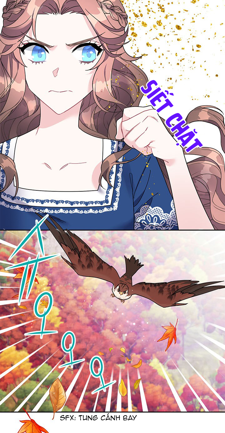 công chúa của loài chim chapter 14 38