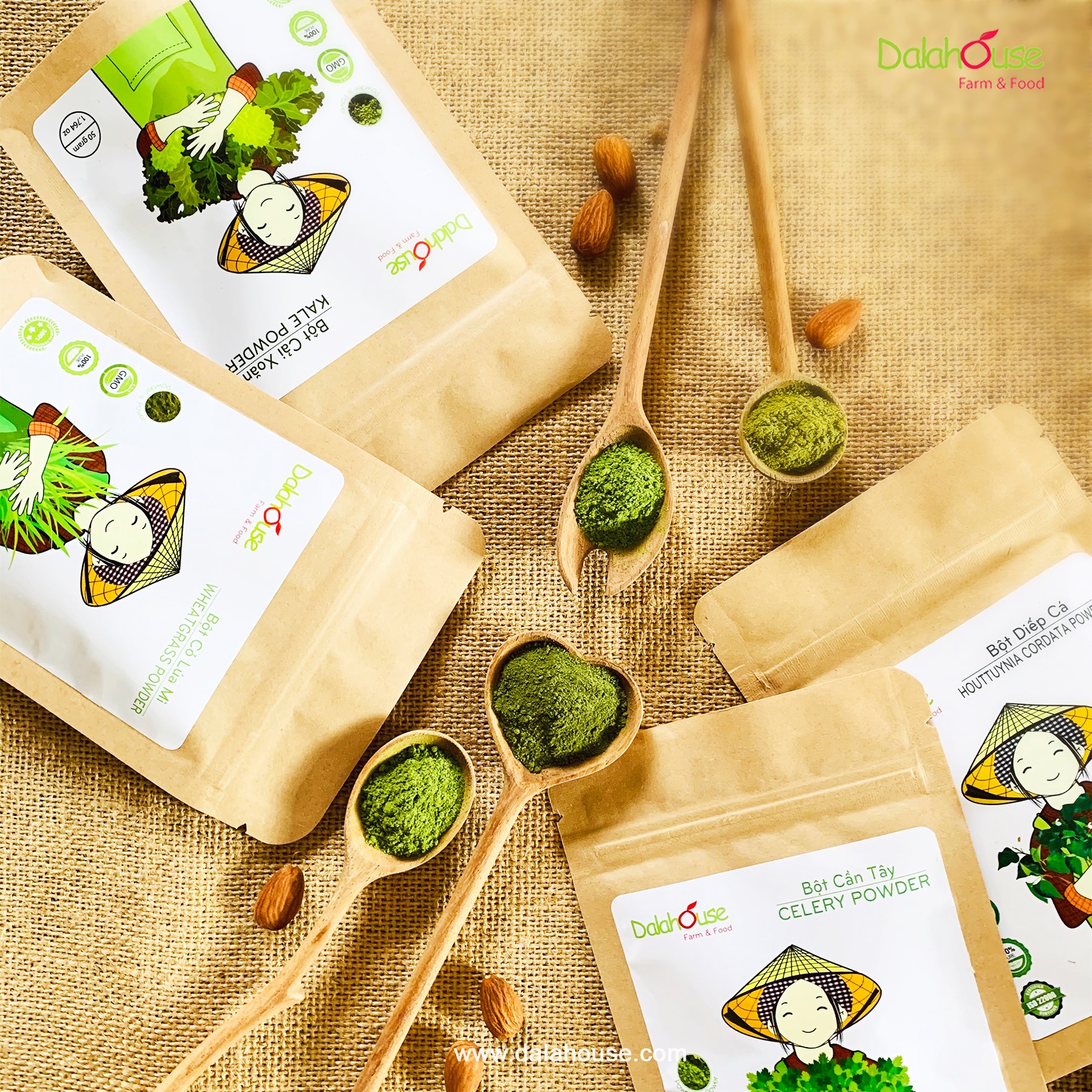 Bột Cần Tây Dalahouse - Công Nghệ Sấy Lạnh Nhật Giữ 90% Dinh Dưỡng Rau Tươi Theo Tiêu Chuẩn FDA Hoa Kỳ- 100% Fresh Natural Celery Powder (NPP Anni)