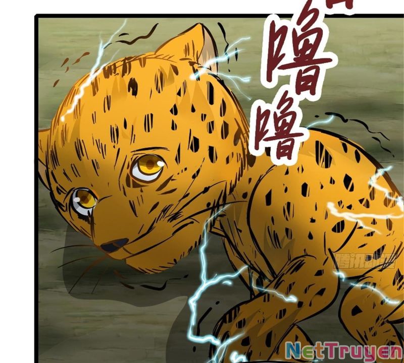 vạn đạo long hoàng chapter 22 48