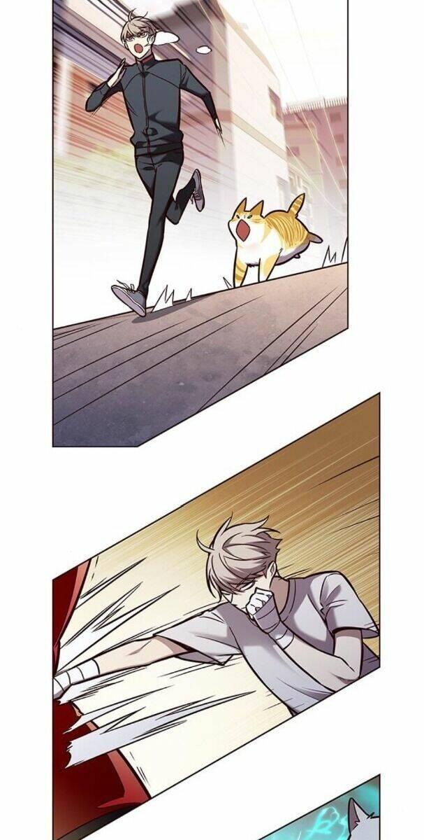 biến thân thành mèo chapter 174 56