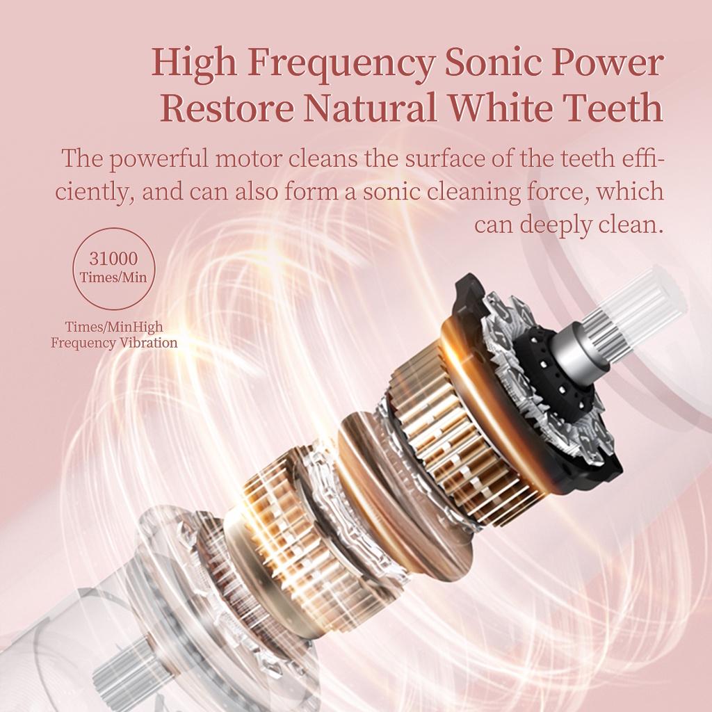Bàn Chải Đánh Răng Điện Tần Số Rung Cao Echen Sonic T501 31000 Times/Min