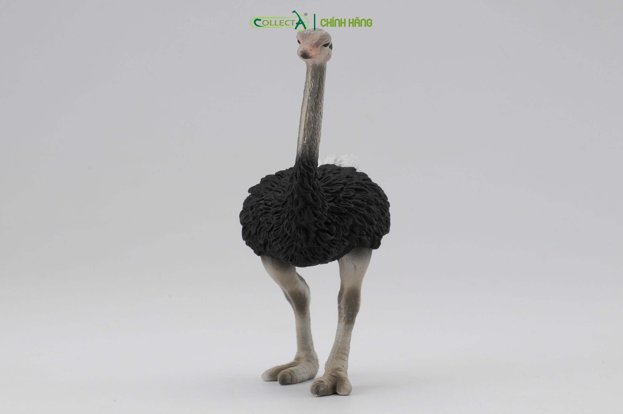 Mô hình thu nhỏ: Đà Điểu - Ostrich, hiệu: CollectA, mã HS 9651150[88459] -  Chất liệu an toàn cho trẻ - Hàng chính hãng