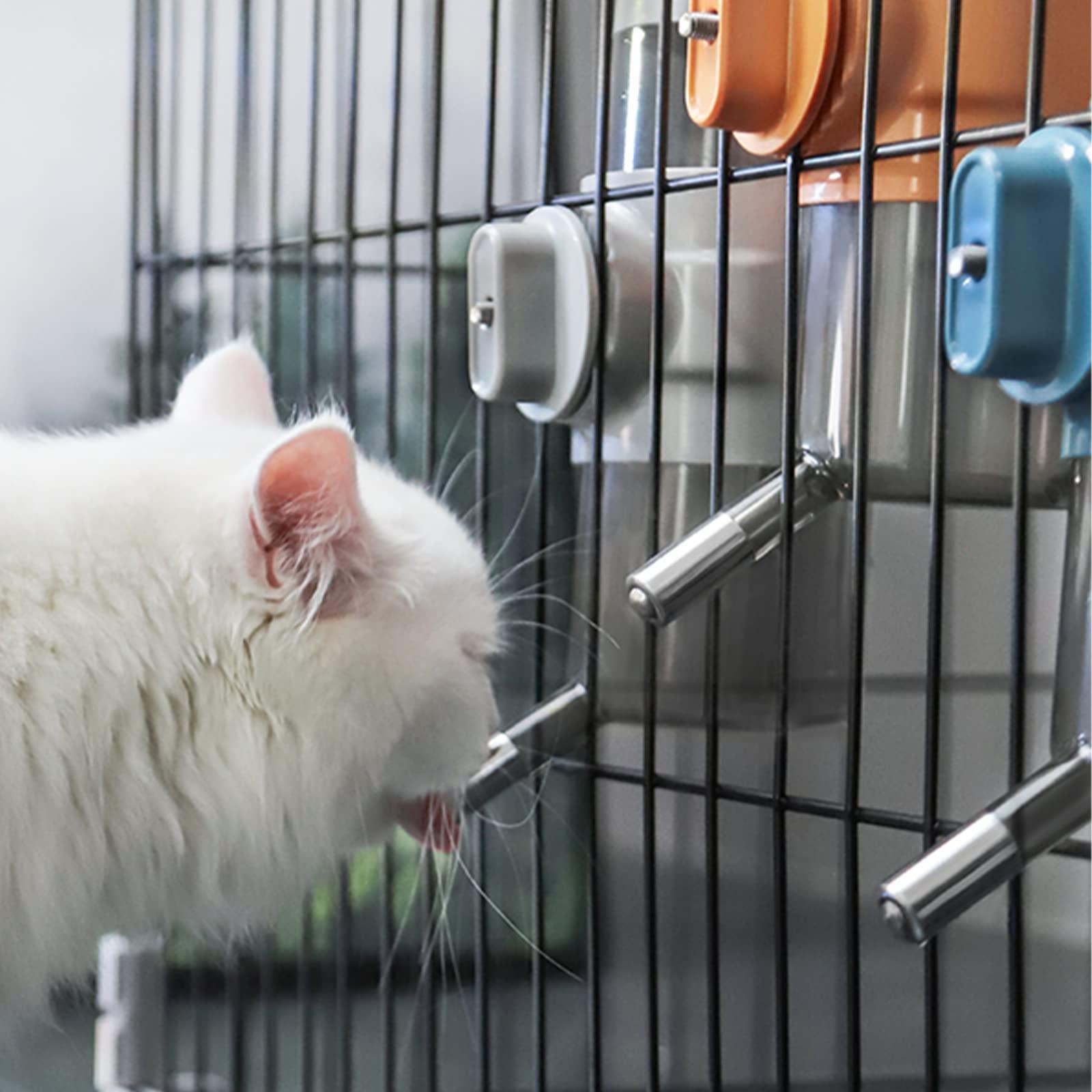 Bộ phân phối nước chó và mèo, 500ml chó, nước g chó, nhà phân phối nước chống thả cho động vật chó và mèo