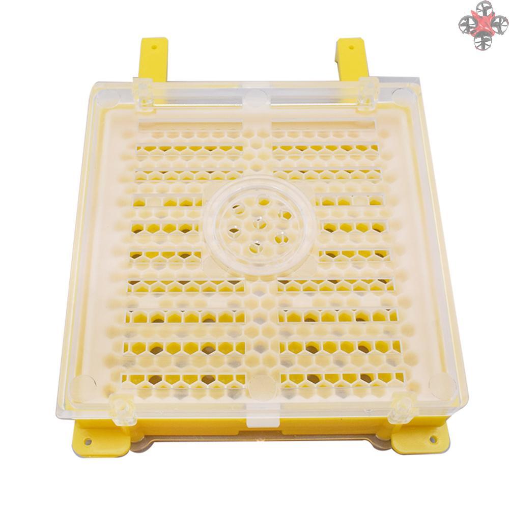 Lồng Nuôi Ong Chúa Kèm Bộ Phụ Kiện