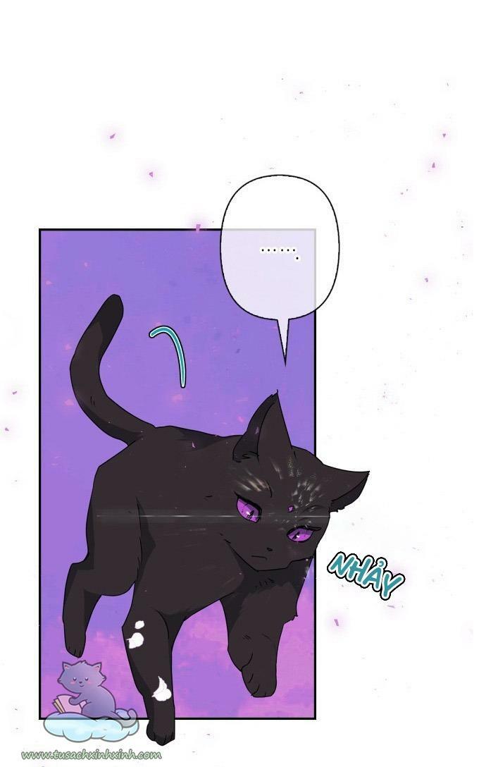 tôi đang nuôi dưỡng một con quái thú chapter 53 45