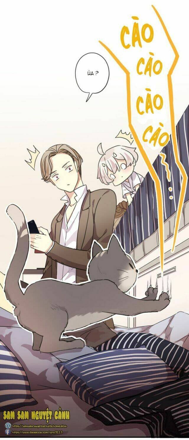 thần sông cầu thu dưỡng chapter 8 2