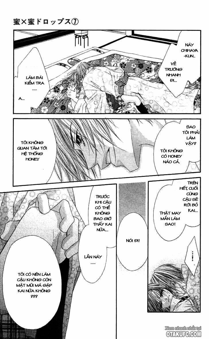 honey x honey drop chapter 40 21