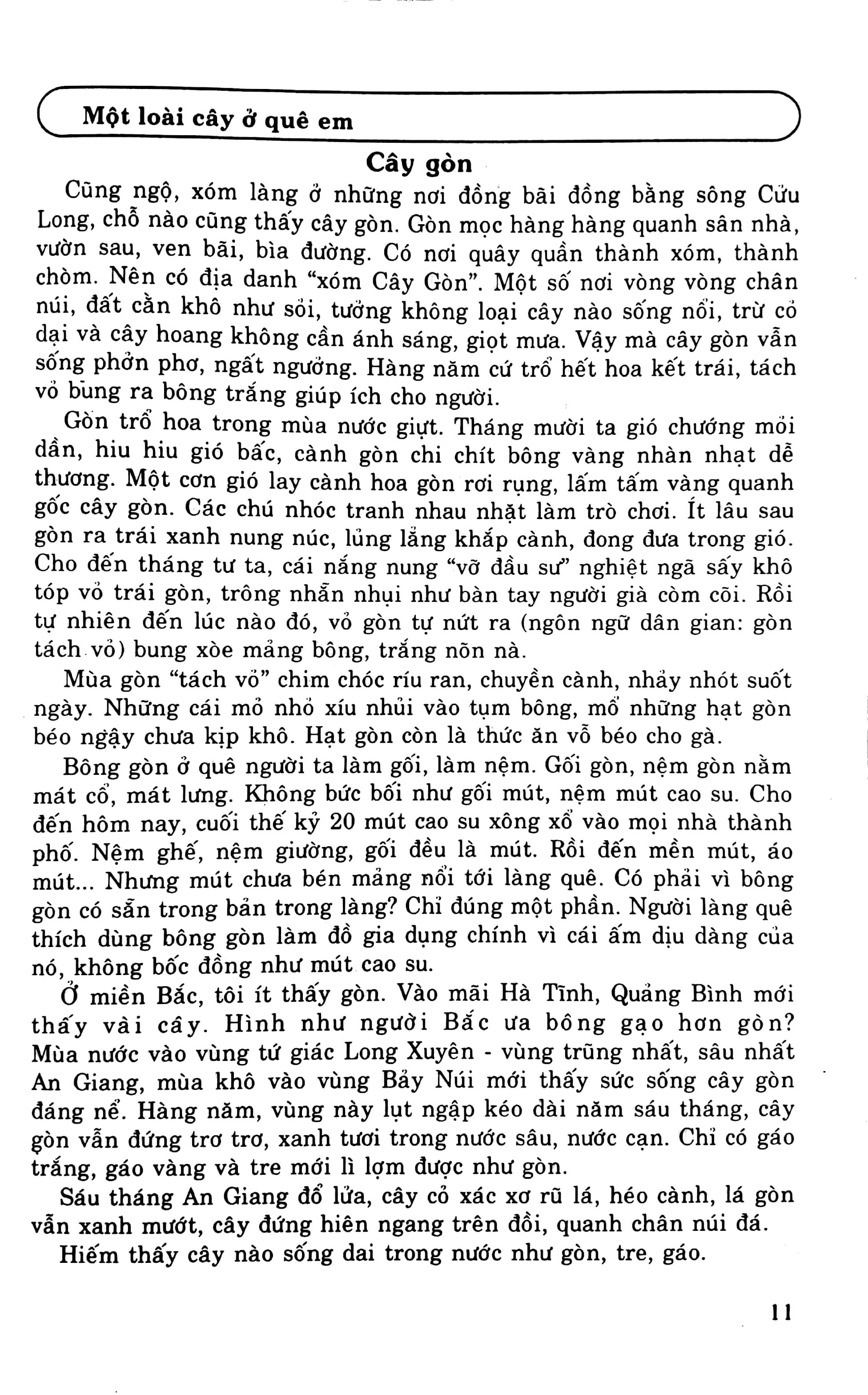 Luyện Viết Văn Hay Lớp 9